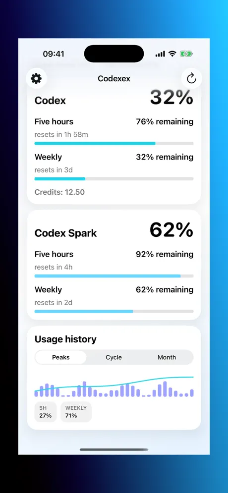 History and forecast screenshot